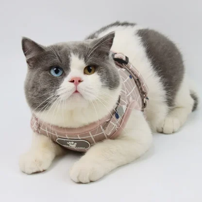Comfortable Vest Harness with Leash - Image 7