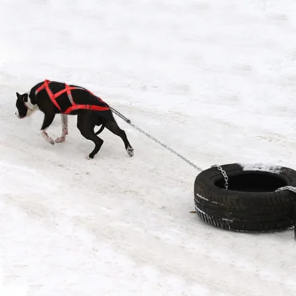 Reflective Full Body Harness for Large Dogs - Image 9