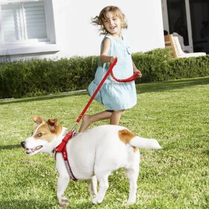 Luxury Pet Harness with Rhinestone-like - Image 15