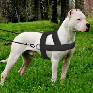 Black Pulling Harness for Dogs
