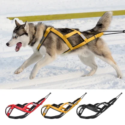 Reflective Full Body Harness for Large Dogs - Image 2