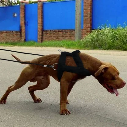 Black Pulling Harness for Dogs - Image 11