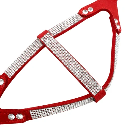 Luxury Pet Harness with Rhinestone-like - Image 4