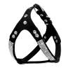 black-harness