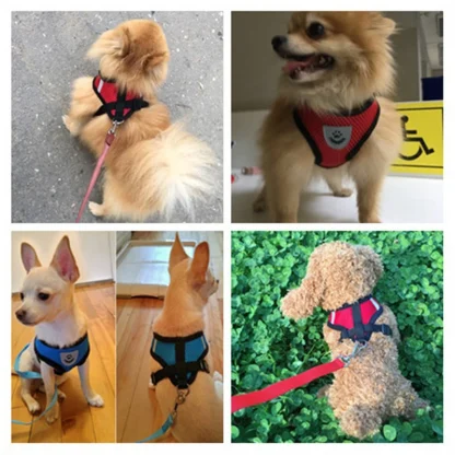 Comfy Vest Harness for Small Dogs - Image 4