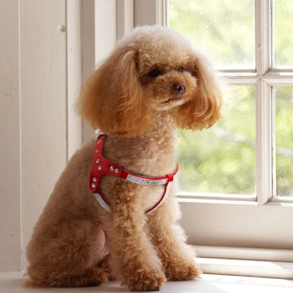 Luxury Pet Harness with Rhinestone-like - Image 14