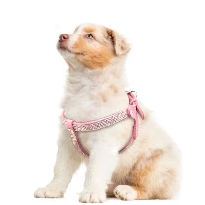 Luxury Pet Harness with Rhinestone-like - Image 11