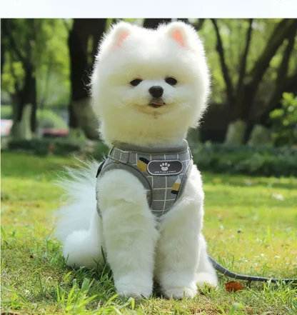 Comfortable Vest Harness with Leash - Image 10
