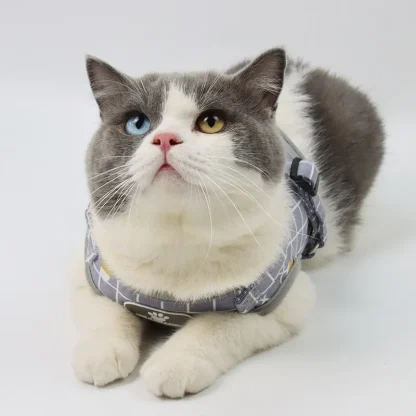 Comfortable Vest Harness with Leash - Image 8