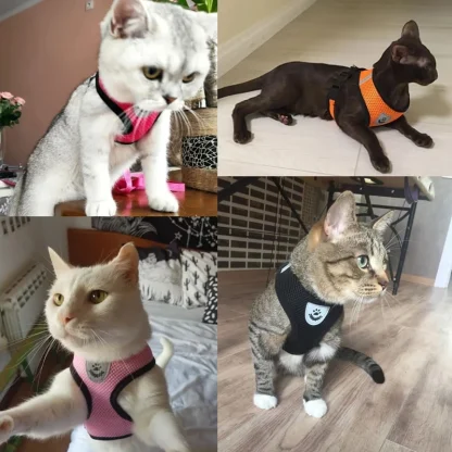 Comfy Vest Harness for Small Dogs - Image 5