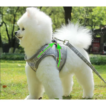 Comfortable Vest Harness with Leash - Image 4