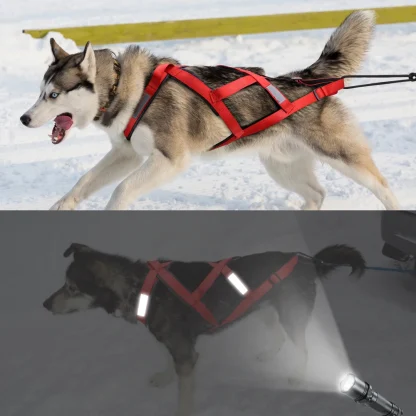Reflective Full Body Harness for Large Dogs - Image 6