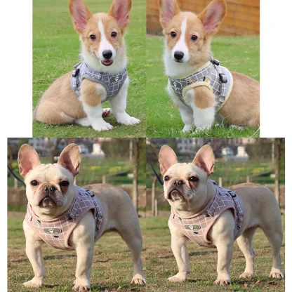 Comfortable Vest Harness with Leash - Image 3
