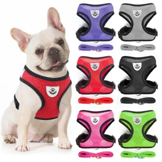 Breathable Harness with Matching Leash