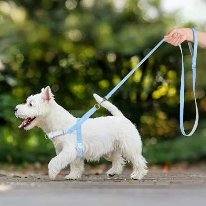 Secure Dog Harness with Adjustable Strap - Image 9