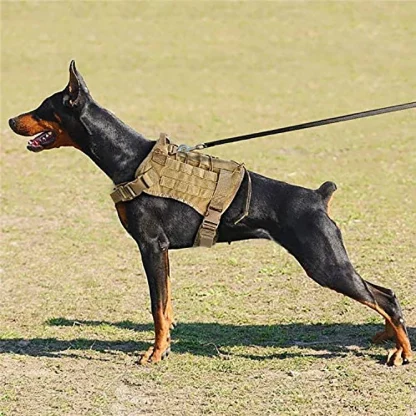 Tactical Dog Harness with Durable Buckle - Image 8