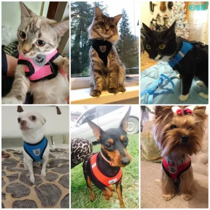 Breathable Harness with Matching Leash - Image 5