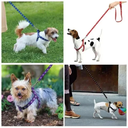 Paw Print Pet Harness with Leash - Image 6