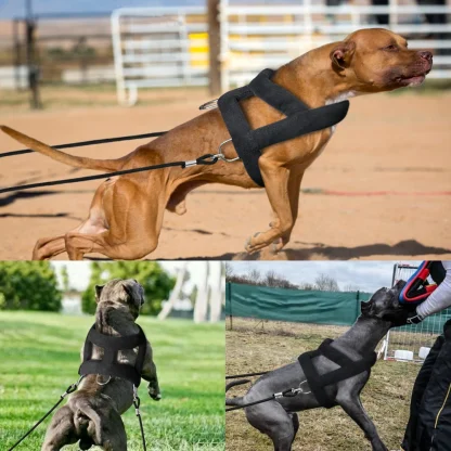 Black Pulling Harness for Dogs - Image 5