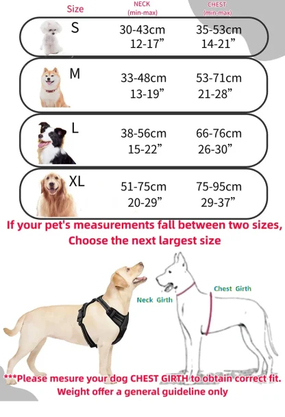 Padded Pet Vest Harness with Dual-Clip - Image 4
