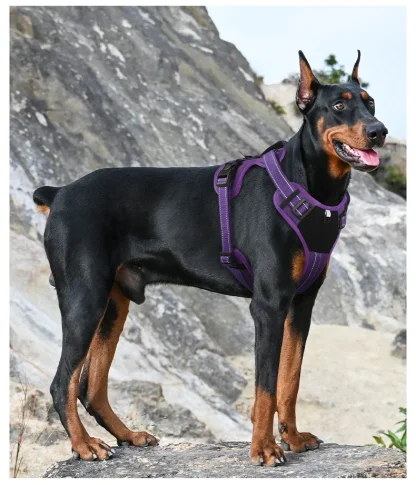 Multi Functional Reflective Dog Harness