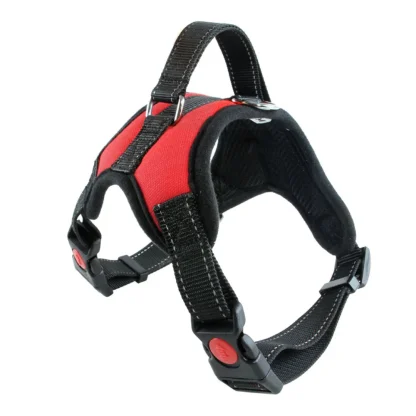 Durable Harness with Adjustable Strap - Image 5