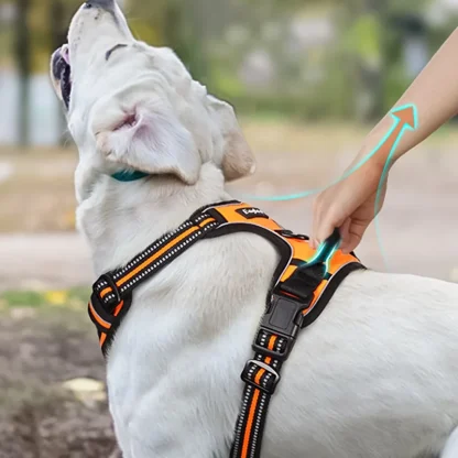 Padded Pet Vest Harness with Dual-Clip - Image 6