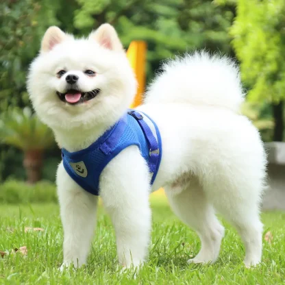 Breathable Harness with Matching Leash - Image 10