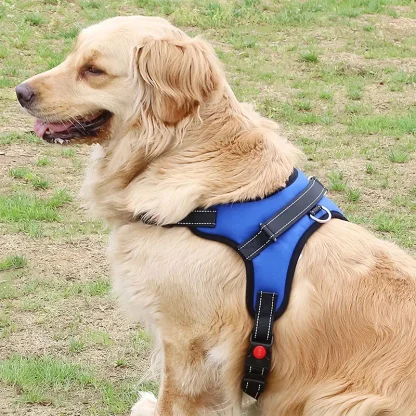 Adjustable Harness with Durable Buckle - Image 6