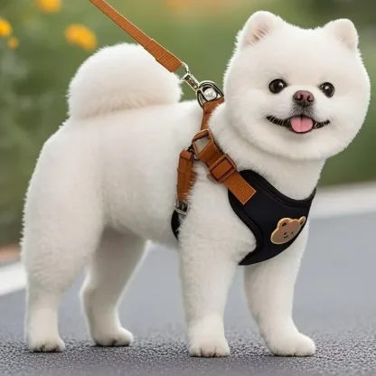 Comfortable Vest Pet Harness with Bead Decor - Image 4