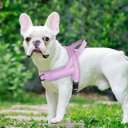 Solid Color Harness with Dual Clip - Image 10