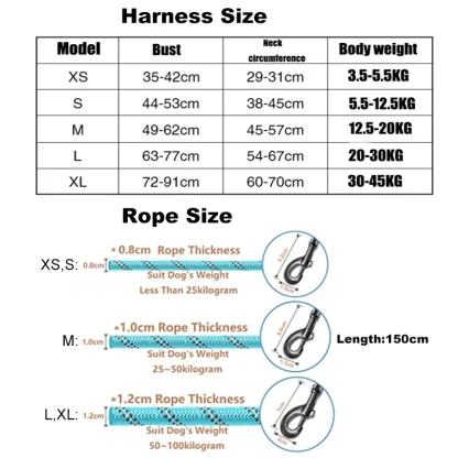 Classic Vest Harness with Durable Buckle - Image 6