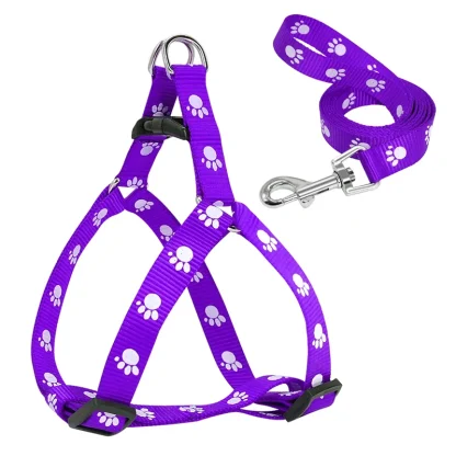 Paw Print Pet Harness with Leash - Image 11