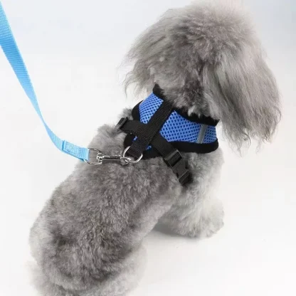 Breathable Harness with Matching Leash - Image 7