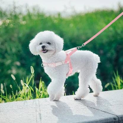 Secure Dog Harness with Adjustable Strap - Image 4