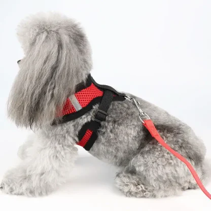 Breathable Harness with Matching Leash - Image 9