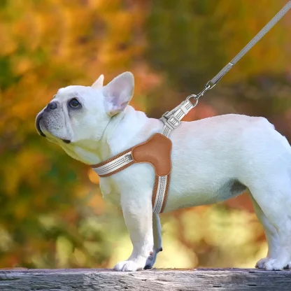 Breathable Harness with Reflective Design - Image 7