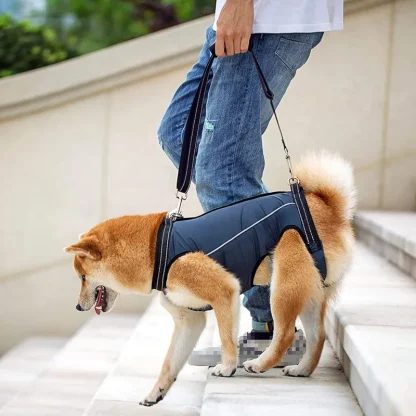 Rehabilitation Sling Padded Harness for Dogs - Image 2