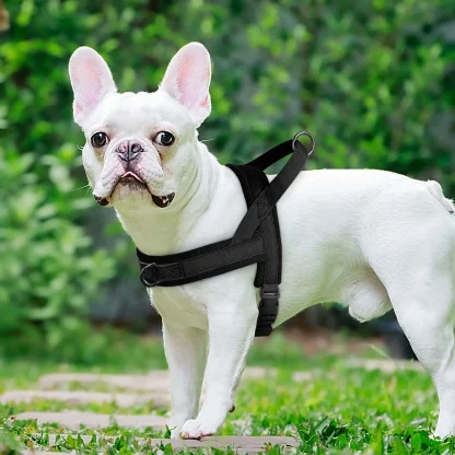 Solid Color Harness with Dual Clip - Image 13