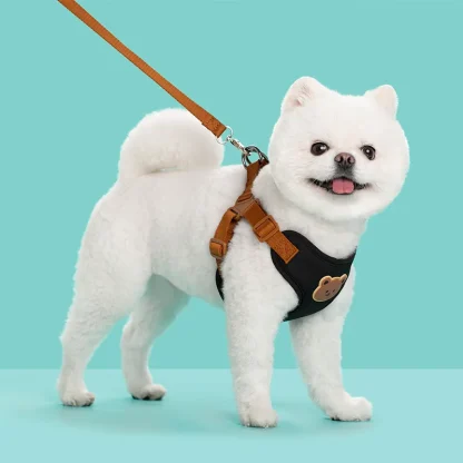 Comfortable Vest Pet Harness with Bead Decor - Image 12