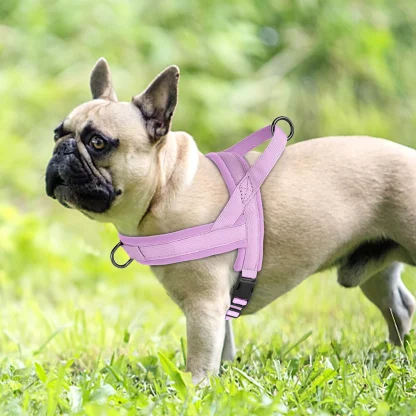 Solid Color Harness with Dual Clip - Image 12