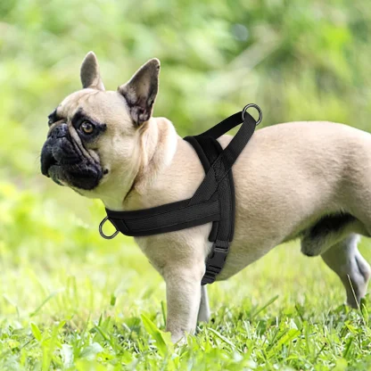 Solid Color Harness with Dual Clip - Image 15