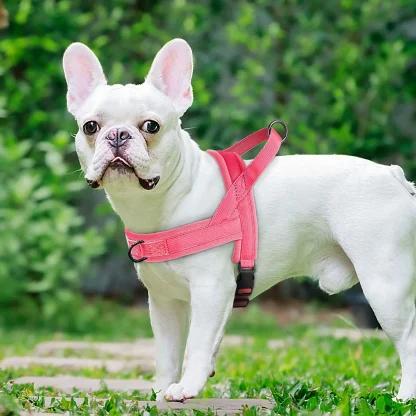 Solid Color Harness with Dual Clip - Image 9