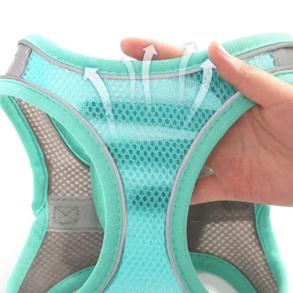 Breathable Harness for Small Dogs - Image 5