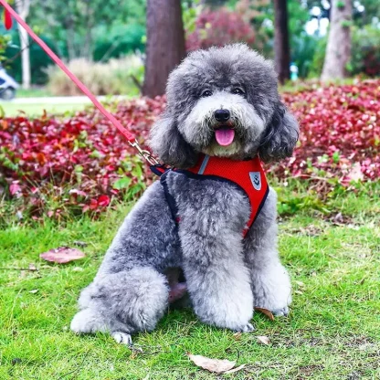 Breathable Harness with Matching Leash - Image 3