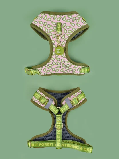 Printed Comfortable Harness with Cute Pendant - Image 9