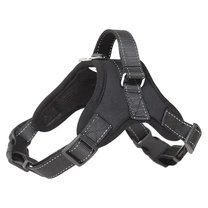 Adjustable Harness with Durable Buckle - Image 5