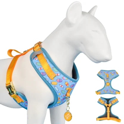 Printed Comfortable Harness with Cute Pendant