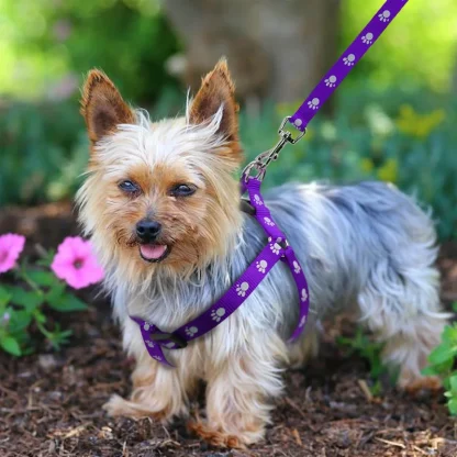 Paw Print Pet Harness with Leash - Image 7
