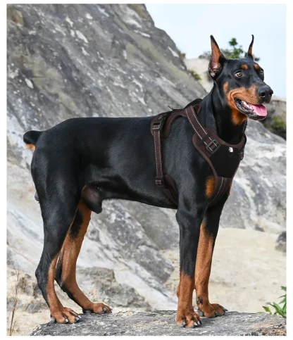 Reflective Vest Harness for Dogs - Image 8